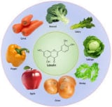 Luteolin ingredient
