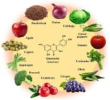 Quercetin ingredient